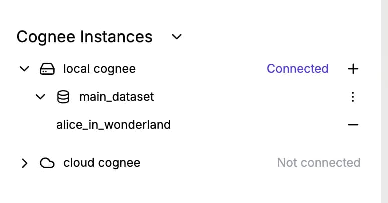 cognee-ui-3