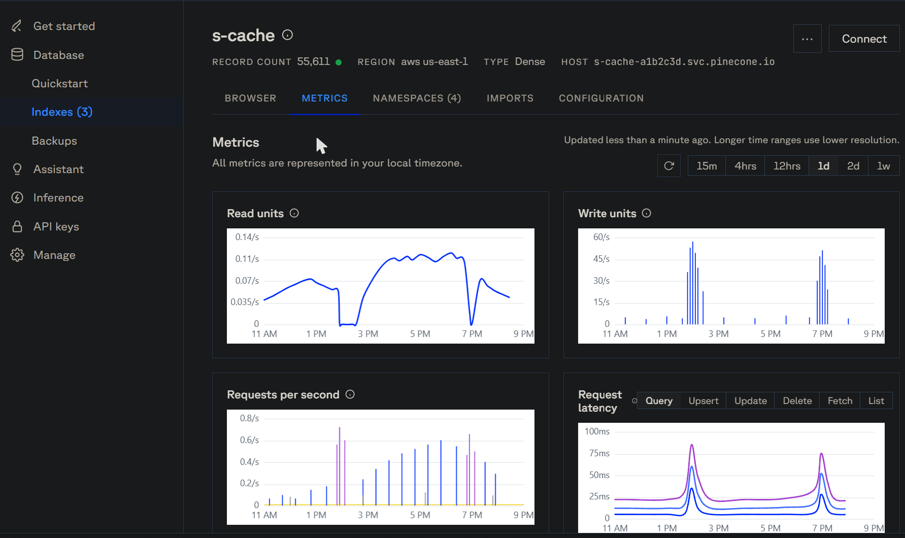 Pinecone console showing index metrics